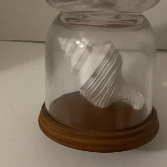 Bath & Body Works Sea Shell Candle Pedestal - Picture 3 of 5